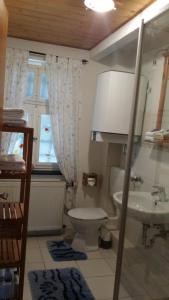 een badkamer met een toilet, een wastafel en een raam bij Weingut Landmann Ferienwohnungen in Freiburg im Breisgau