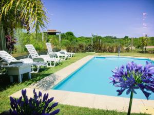 a pool with white chairs and purple flowers next to it at Apartamentos La Playa in Piriápolis