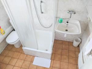 La salle de bains est pourvue d'une douche et d'un lavabo. dans l'établissement Pohoda u Lva, à Nová Pec