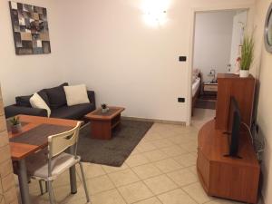 TV a/nebo společenská místnost v ubytování Apartment Ines