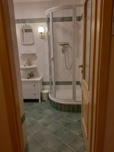 ein Bad mit einer Dusche und einem Waschbecken in der Unterkunft Ferienwohnung Claus in Meißen