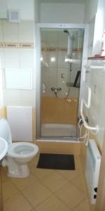 a bathroom with a shower and a toilet in it at Apartmán Karin in Oščadnica