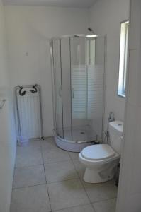 a bathroom with a toilet and a glass shower at Tu Lugar Solís in Piriápolis