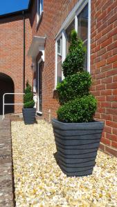 two potted plants in front of a brick building at 1 WATER PUMP HOUSE in Bury Saint Edmunds