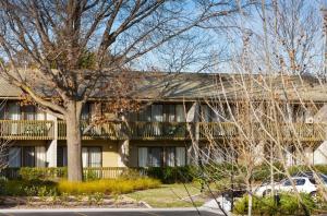 a building with a tree in front of it at Tall Trees Ainslie Motel in Canberra