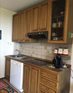 a kitchen with wooden cabinets and a white refrigerator at Condominio Ginepro in Carisolo