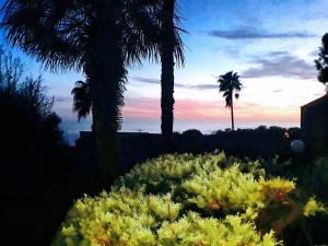 vistas a un jardín con palmeras y arbustos en Superbe T1 neuf avec vue mer sur Marinella, en Ajaccio