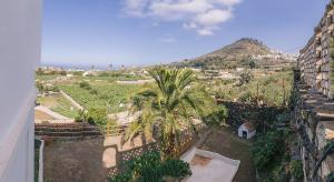 uma vista superior de uma palmeira e de uma montanha em El Caidero em Arucas