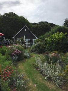 a garden with flowers and a house in the background at Hahei Kereru Cottage in Hahei