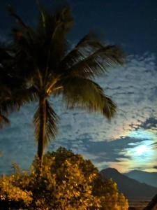 una palmera frente a un cielo nublado en Toka do NIKO, en Ilhabela
