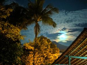 una palmera sentada sobre árboles por la noche en Toka do NIKO, en Ilhabela
