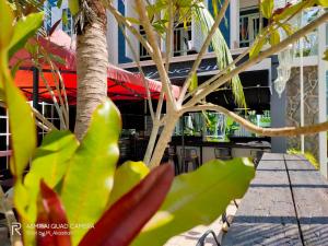 a table with a plant in front of a building at Royale Chenang Resort in Pantai Cenang