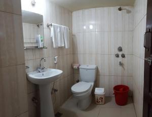 a small bathroom with a toilet and a sink at Hotel Hill View in Bāndarban