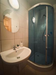 ห้องน้ำของ U Haliny - Blisko Term & Gorącego Potoku