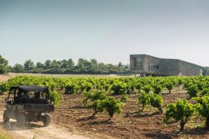 Foto sihtkohas Assignan asuva majutusasutuse Village Castigno - Wine Hotel & Resort galeriist