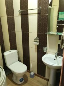 La salle de bains est pourvue de toilettes et d'un lavabo. dans l'établissement Hotel u Olega, à Trouskavets