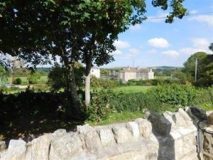 a stone wall with a tree and buildings in the background at Follis Cottage in Weymouth +5 photos