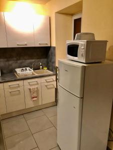 eine Mikrowelle auf einem Kühlschrank in der Küche in der Unterkunft Magnifique appartement tout équipé - 6 personnes in Le Puy en Velay