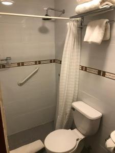 un bagno con un water e una tenda da doccia di Hotel Luanco a Temuco