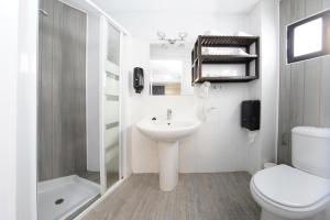La salle de bains est pourvue d'un lavabo, de toilettes et d'une douche. dans l'établissement Estudio vista interior 2ºB playa76, à Torremolinos