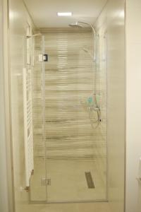 eine Dusche mit Glastür im Bad in der Unterkunft Villa Alisia in Baile Felix
