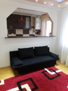a living room with a black couch and a red rug at 19 RESIDENCE apartment in Cavnic +18 photos