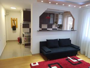 a living room with a black couch and a red rug at 19 RESIDENCE apartment in Cavnic