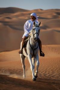 Tetamu yang menginap di Anantara Qasr al Sarab Desert Resort