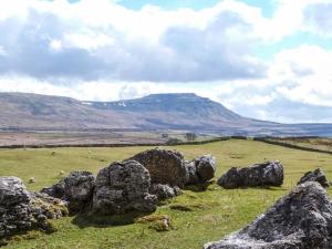 a field with rocks and animals in a field at Harber Scar in Settle