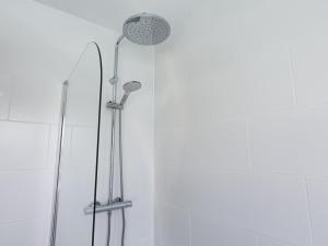 a shower with a shower head in a bathroom at 4 Armada House in Hope Cove