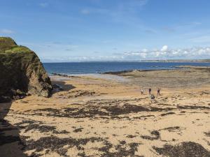 a group of people walking on the beach at 4 Armada House in Hope Cove