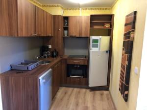 uma pequena cozinha com armários de madeira e um frigorífico em Les Terrasses d Isola 2 pièces 4 personnes em Isola 2000