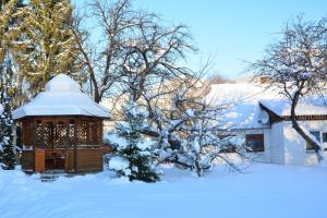 a gazebo in the snow in a yard at Котедж Соняшник in Verkhovyna