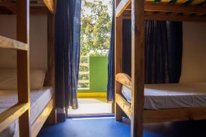 GREEN NEST HOSTEL, Baga-Arpora, North Goa客房内的一张或多张床位