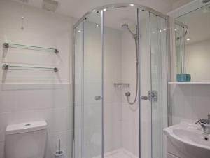 a bathroom with a shower and a toilet and a sink at Cove View in Kingsbridge +22 photos