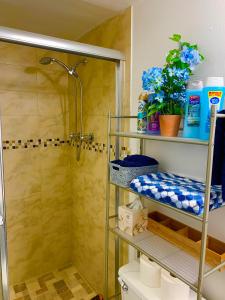 Fotografie z fotogalerie ubytování Ocean Reserve by Miami TCS v Miami Beach