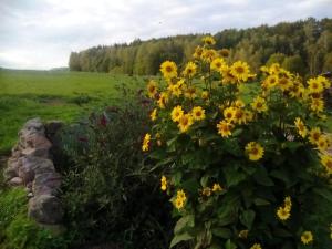 Příroda nedaleko apartmánu