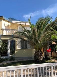 a palm tree in front of a house with a fence at Apartment Plavo Sidro in Vir