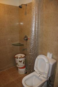 a bathroom with a toilet and a shower at Hotel Hong Kong Inn in Amritsar