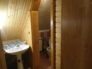 a bathroom with a sink and a toilet at Karpatskiy Domyk in Izki