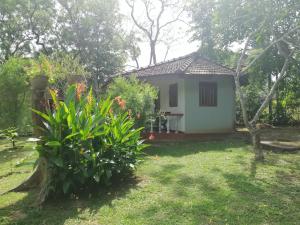 Zahrada ubytování Calm Garden Cabanas
