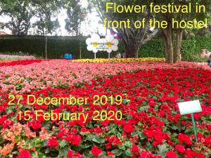 un festival de flores en la parte delantera de la casa en Bann Tawan Hostel Chiang Rai, en Chiang Rai