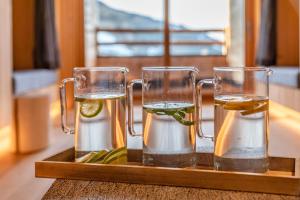 Bevande di Stadtvilla Schladming Boutiquehotel