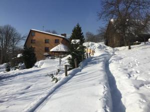 U Janka durante l'inverno