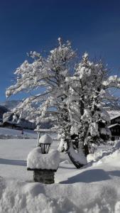 Gallery image of Ferienwohnung Anton Künzler in Riezlern