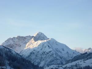 Gallery image of Ferienwohnung Anton Künzler in Riezlern +29 photos