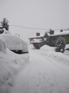 U Janka durante l'inverno