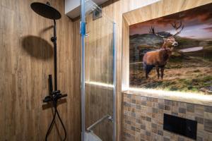 O baie la Willa Góralski Styl +42 fotografii