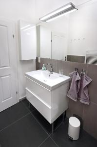 ein Badezimmer mit einem weißen Waschbecken und einem Spiegel in der Unterkunft Herzlich Willkommen - Küss die Hand in Wien