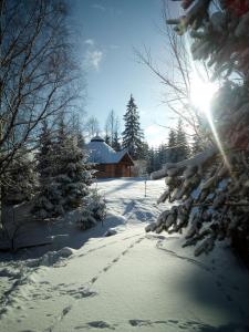 a snow covered yard with a house with the sun shining at Gostynniy Dvir Raytshtoky in Vorokhta